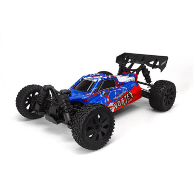 Brushless electric adult RC car buggy manufacturer